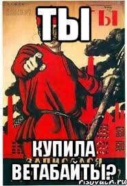 ТЫ КУПИЛА ВЕТАБАЙТЫ?, Мем А ты записался добровольцем