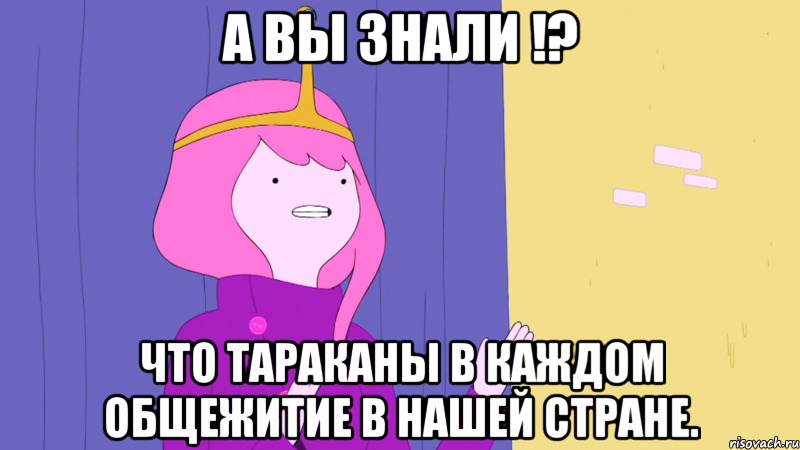 А вы знали !? Что тараканы в каждом общежитие в нашей стране.