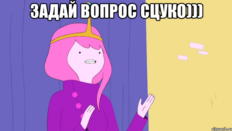 ЗАДАЙ ВОПРОС СЦУКО))) 