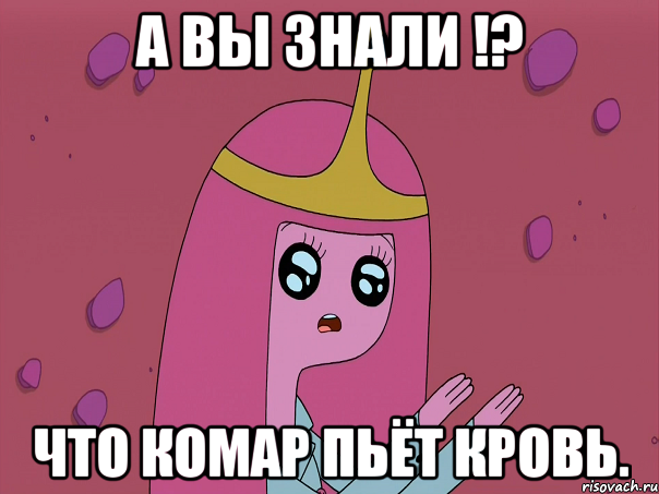 А вы знали !? что комар пьёт кровь.