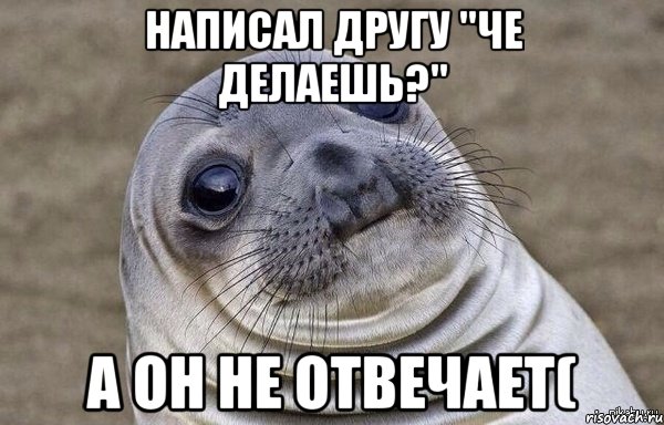 Написал другу "Че делаешь?" А он не отвечает(