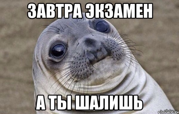 завтра экзамен а ты шалишь