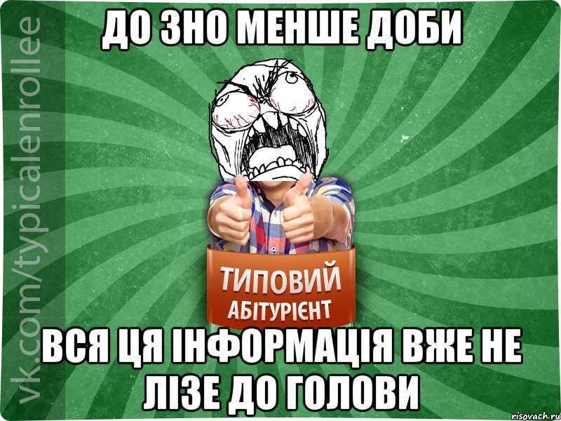 до ЗНО менше доби вся ця інформація вже не лізе до голови, Мем абтура2