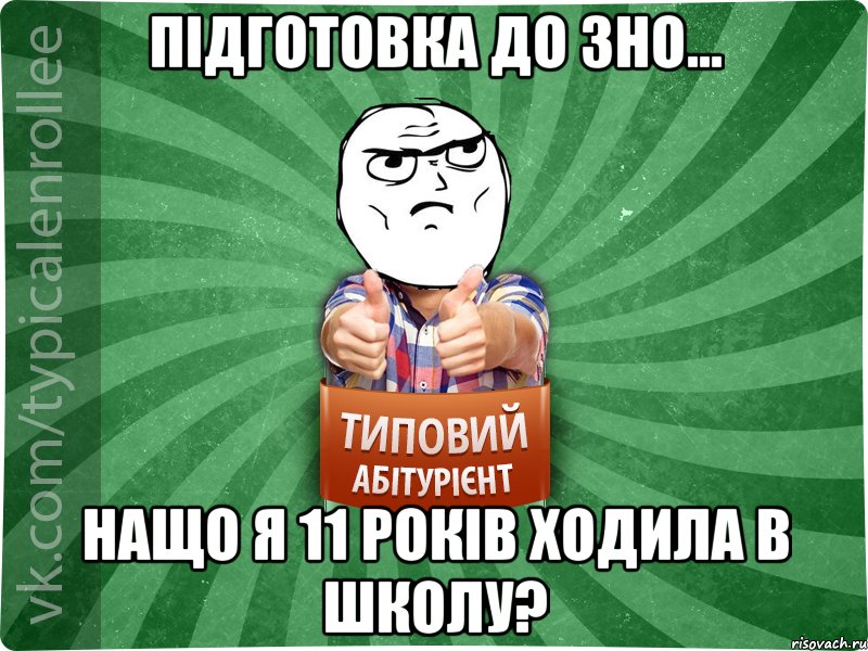 Підготовка до ЗНО... Нащо я 11 років ходила в школу?
