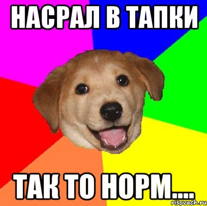 Насрал в тапки Так то норм...., Мем Advice Dog