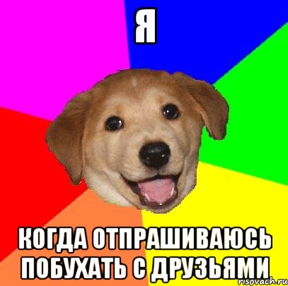 Я Когда отпрашиваюсь побухать с друзьями, Мем Advice Dog