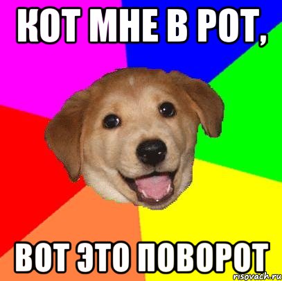 http://risovach.ru/upload/2014/06/mem/advice-dog_52251882_orig_.jpg