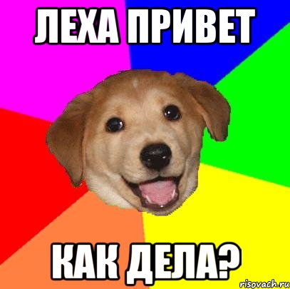 Леха привет как дела?, Мем Advice Dog