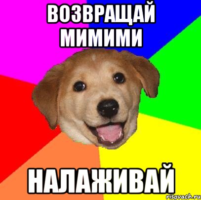 ВОЗВРАЩАЙ МИМИМИ НАЛАЖИВАЙ, Мем Advice Dog