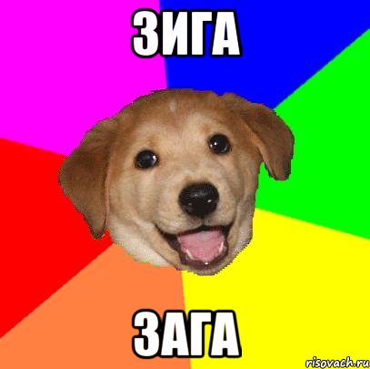 зига зага, Мем Advice Dog