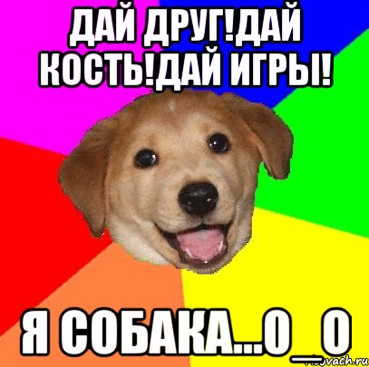 Дай друг!Дай кость!Дай игры! Я собака...0_о, Мем Advice Dog