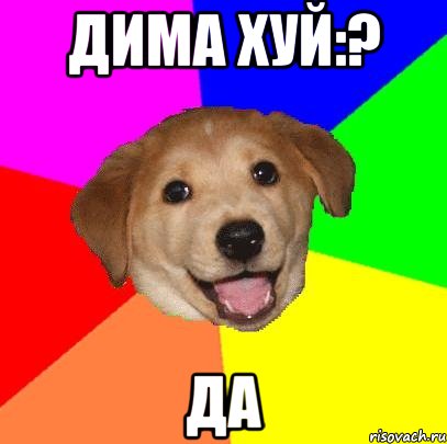 ДИМА ХУЙ:? ДА, Мем Advice Dog