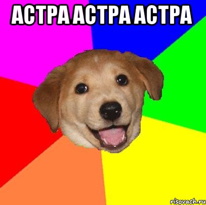 АСТРА АСТРА АСТРА , Мем Advice Dog