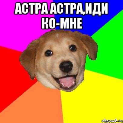 АСТРА АСТРА,ИДИ КО-МНЕ , Мем Advice Dog