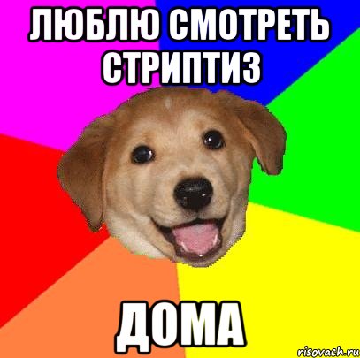 Люблю смотреть стриптиз ДОМА, Мем Advice Dog