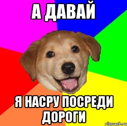 А давай я насру посреди дороги, Мем Advice Dog