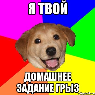 Я твой Домашнее задание ГРЫЗ, Мем Advice Dog