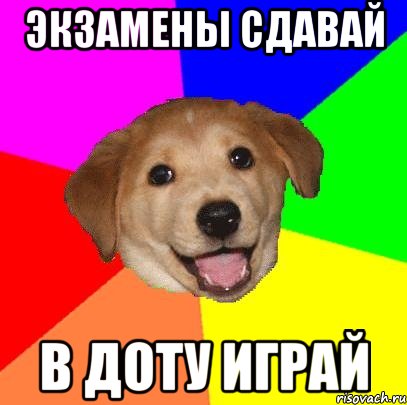 экзамены сдавай в доту играй, Мем Advice Dog