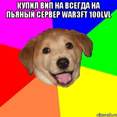 Купил Вип На всегда на Пьяный сервер War3FT 100lvl , Мем Advice Dog