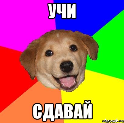 Учи Сдавай, Мем Advice Dog