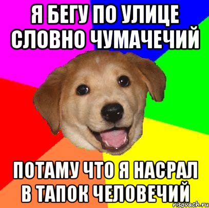 Я бегу по улице словно чумачечий Потаму что я насрал в тапок человечий, Мем Advice Dog