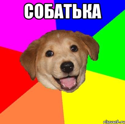 Собатька , Мем Advice Dog