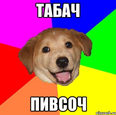 Табач Пивсоч, Мем Advice Dog