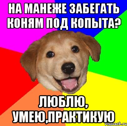 На манеже забегать коням под копыта? Люблю, умею,практикую, Мем Advice Dog