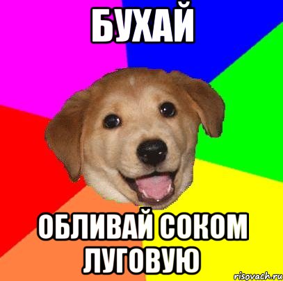 БУХАЙ ОБЛИВАЙ СОКОМ ЛУГОВУЮ, Мем Advice Dog