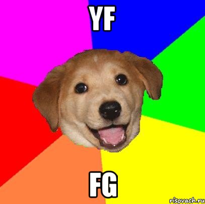 yf fg, Мем Advice Dog