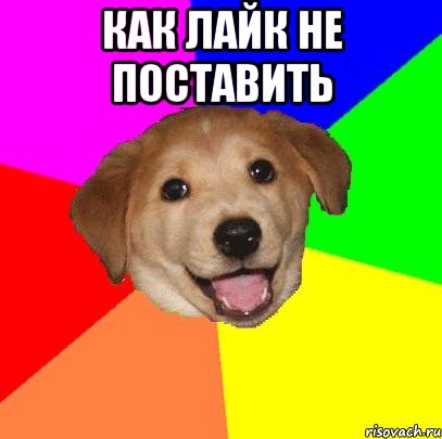 Как лайк не поставить , Мем Advice Dog