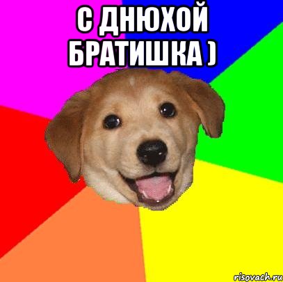 С Днюхой Братишка ) , Мем Advice Dog