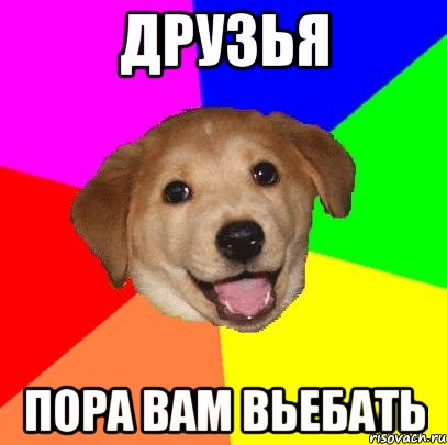 Друзья Пора вам вьебать, Мем Advice Dog