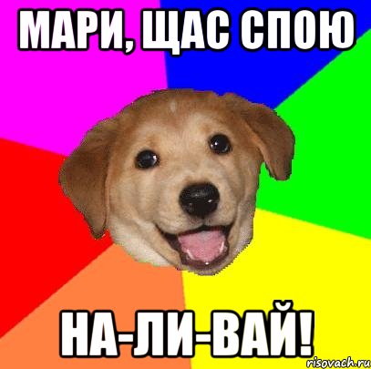 Мари, щас спою На-ли-вай!, Мем Advice Dog