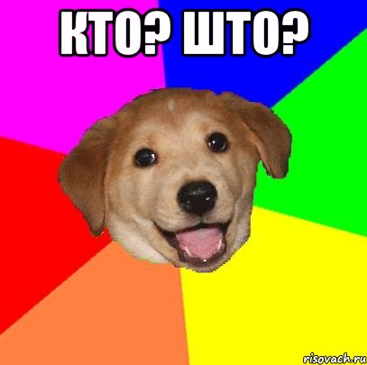 Кто? Што? , Мем Advice Dog