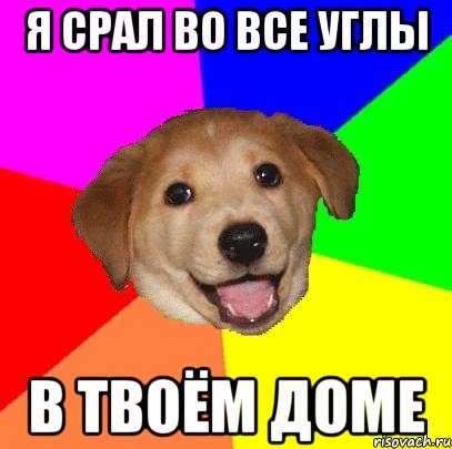 я срал во все углы в твоём доме, Мем Advice Dog