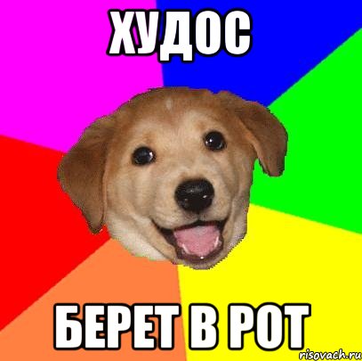 Худос Берет в рот, Мем Advice Dog