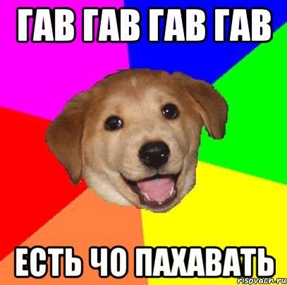 ГАВ ГАВ ГАВ ГАВ ЕСТЬ ЧО ПАХАВАТЬ, Мем Advice Dog