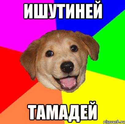 Ишутиней Тамадей, Мем Advice Dog