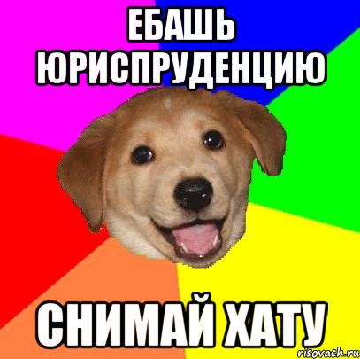 ебашь юриспруденцию снимай хату, Мем Advice Dog