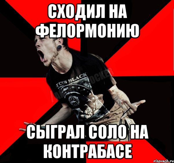 сходил на фелормонию сыграл соло на контрабасе, Мем Агрессивный рокер