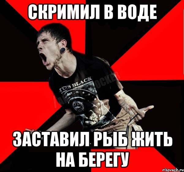 скримил в воде заставил рыб жить на берегу, Мем Агрессивный рокер
