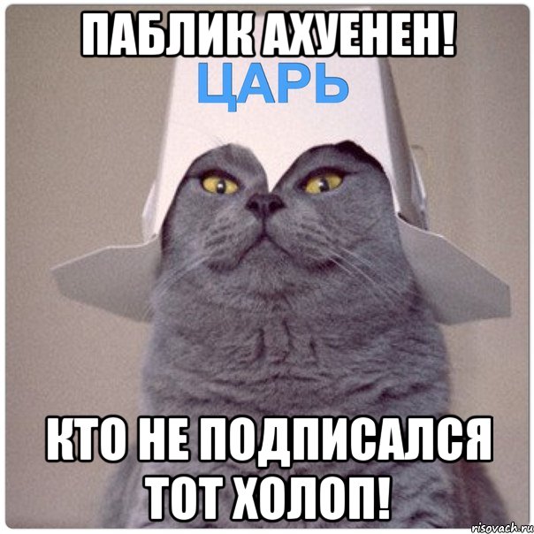 ПАБЛИК АХУЕНЕН! КТО НЕ ПОДПИСАЛСЯ ТОТ ХОЛОП!