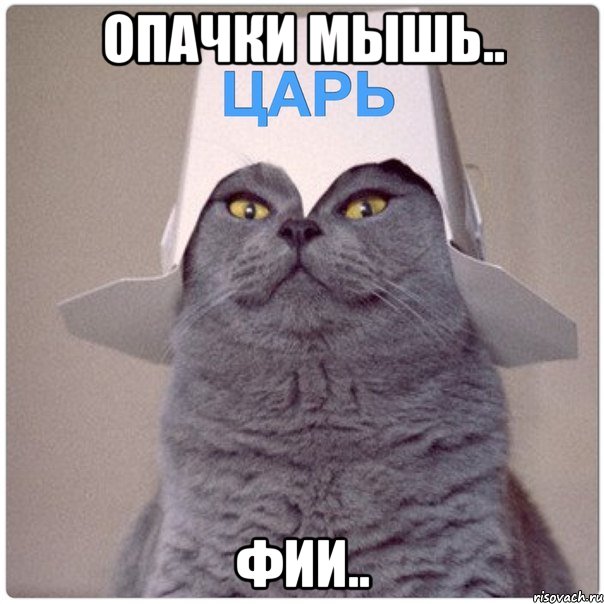 ОПАЧКИ МЫШЬ.. ФИИ..