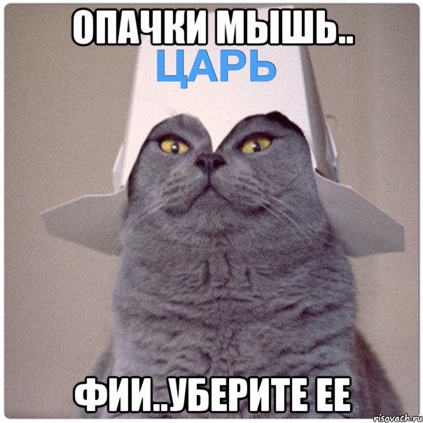 ОПАЧКИ МЫШЬ.. ФИИ..УБЕРИТЕ ЕЕ