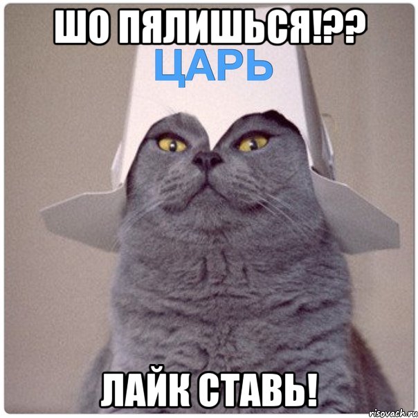 ШО ПЯЛИШЬСЯ!?? ЛАЙК СТАВЬ!
