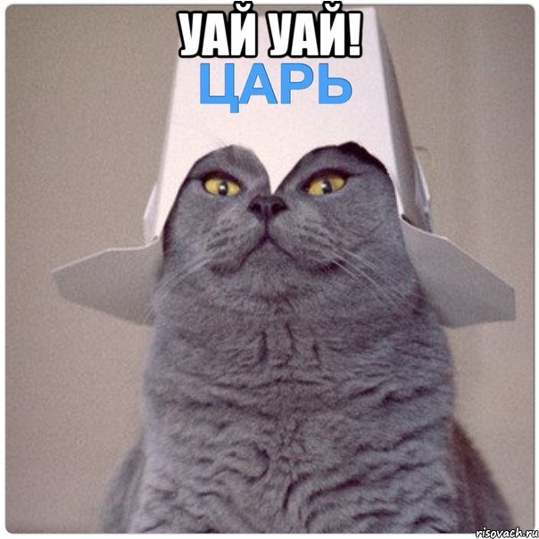 Уай Уай! 