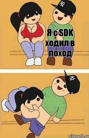 Я с SDK ходил в поход, Комикс Ты точно