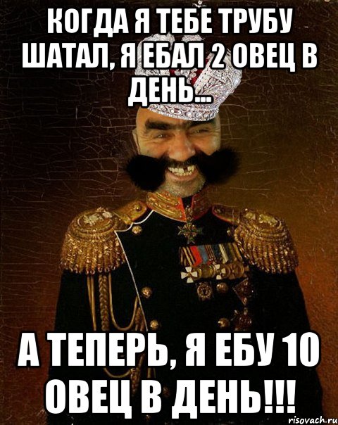 Когда я тебе трубу шатал, я ебал 2 овец в день... А теперь, я ебу 10 овец в день!!!, Мем Ашотик царь