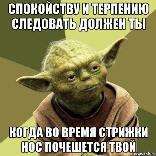 Спокойству и терпению следовать должен ты Когда во время стрижки нос почешется твой